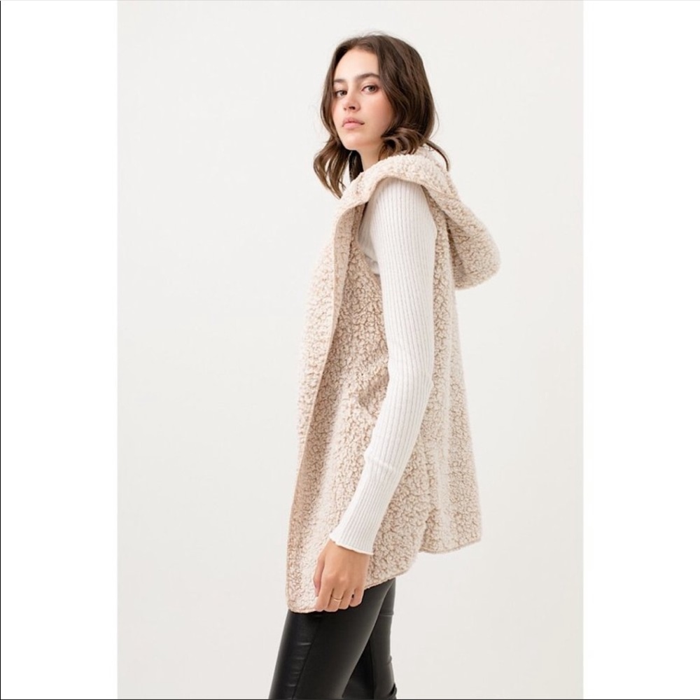Sleeveless Faux Fur Vest with Hood - Picture 2 of 3
